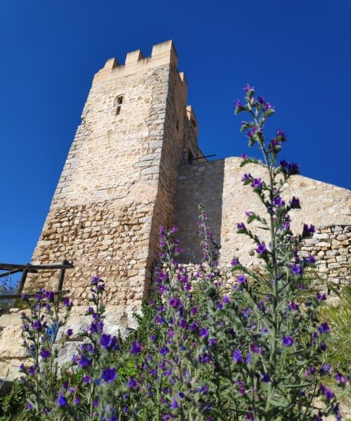 Castle of Xivert tower