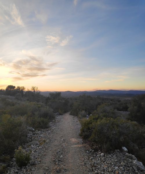 Walking trail